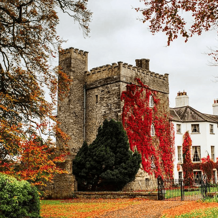 barberstown castle autumn