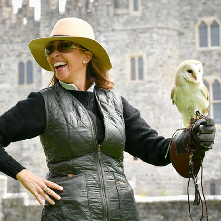 falconry at kilkea castle