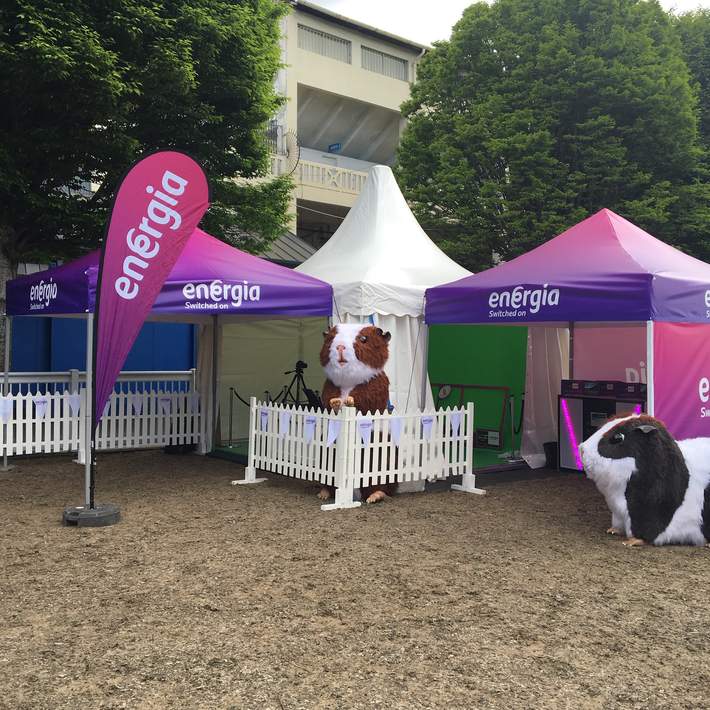 mini marquees and mascots