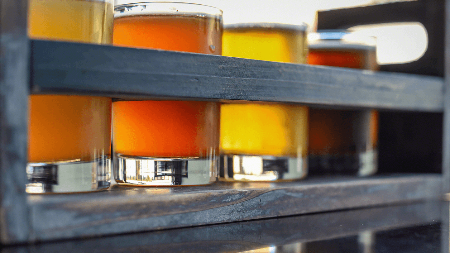 beer tasting rack