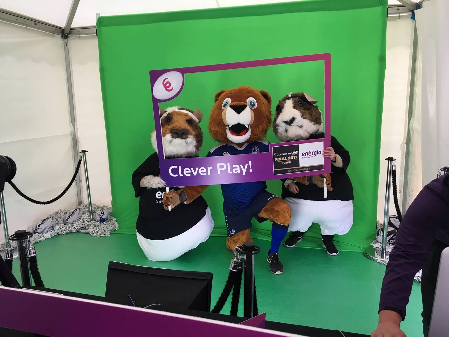 Three bears in front of green screen