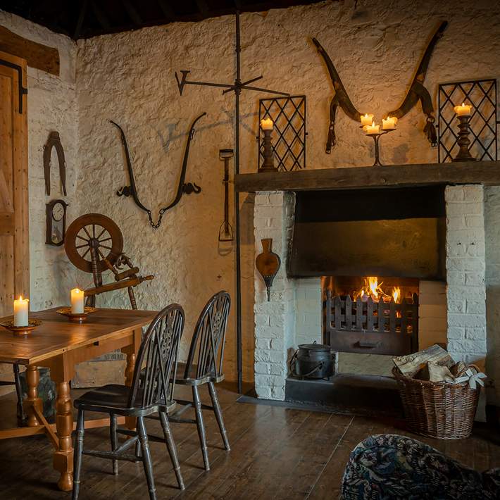 barberstown castle fireplace