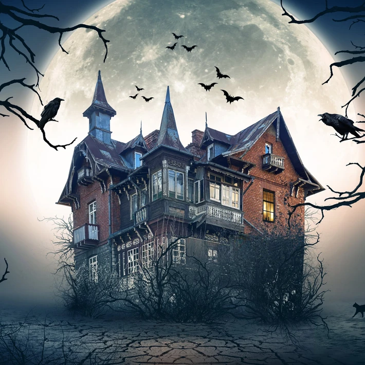 Spooky manor house with bats and crows at night for Manor House Murder corporate murder mystery team building event in Ireland