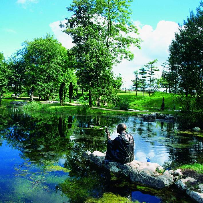 Irish national stud water works